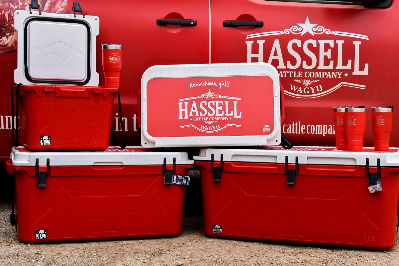 Hassell Cattle Hard Cooler